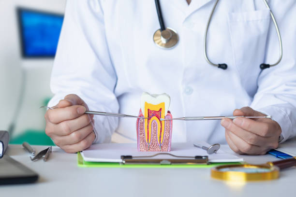Best Emergency Treatment for Dental Infections or Abscesses in Smithville Sanders, IN